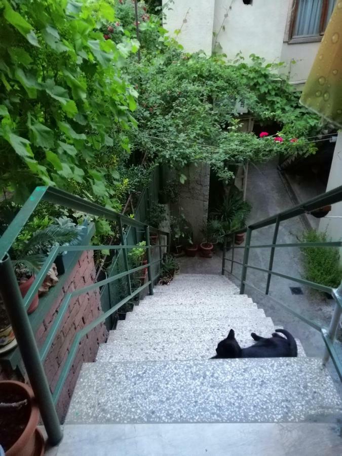Guesthouse Different Tbilisi Exterior photo